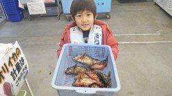 堺漁港でブラクリでガシラ10匹ＧＥＴで少年にっこり♪