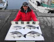 黒島の筏チヌ釣り、良型が出てます！