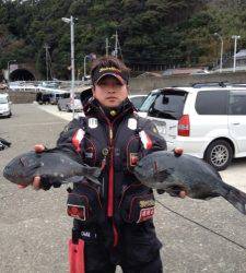 沖の赤島と壁でフカセ釣り、40cmまであと少し！！