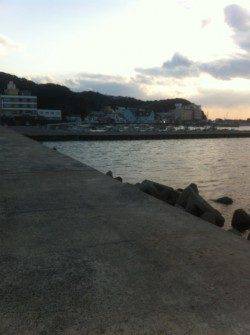 加太漁港に行って来ました！