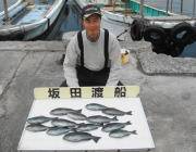 黒島の磯オキアミフカセ釣果、カンダイも揚がっています