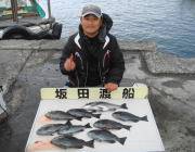 グレ好調です！鷹島のカンドリ