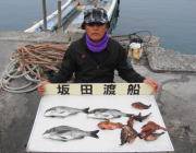 鷹島の カンドリ フカセでチヌの釣果