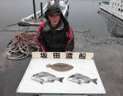 黒島の筏釣果、チヌにヒラメ