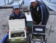 黒島の磯、夕方から釣れ出し二人で65匹のアイゴの釣果