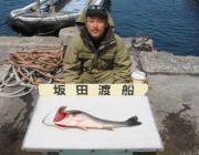 黒島の磯、のませ釣りで72cmのスズキをキャッチ！