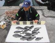 黒島の磯 フカセでチヌ＆グレの釣果
