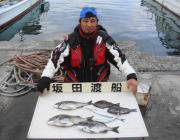 鷹島のカンドリ、チヌ・グレ良く釣れています