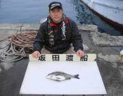 黒島の筏 チヌ40cmの釣果