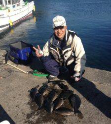 フカセチヌ釣果、本日は数釣れています♪