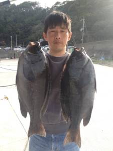 串本の磯 フカセでグレの釣果