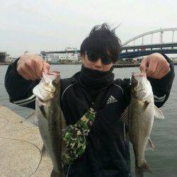 大阪南港でエビ撒き釣り、最終釣果はハネ10匹オーバー