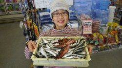 堺漁港 サビキ＆カゴ釣りでガシラ・イワシ・小サバで満足釣果☆
