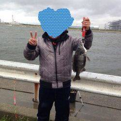大阪南港 エビ撒き釣りでチヌ45cm