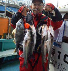 【1日】岸和田シラサ浮き釣り情報、キビレも釣れました