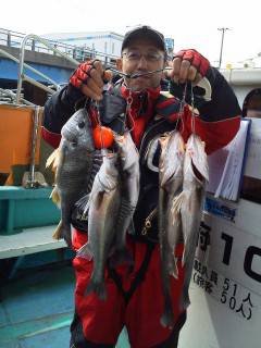 【1日】岸和田シラサ浮き釣り情報、キビレも釣れました