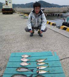 沖一文字カゴ釣りイサギ釣果、他の魚も混じっています♪