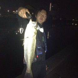 和歌川河口、本日の釣果は全てトゥイッチでの釣果