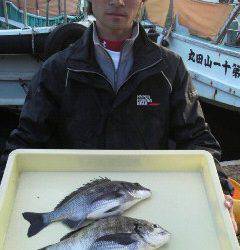 沖一文字紀州釣り釣果、40cm頭に合計9枚