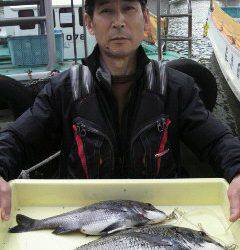 岸和田一文字 良型のチヌ釣れてます
