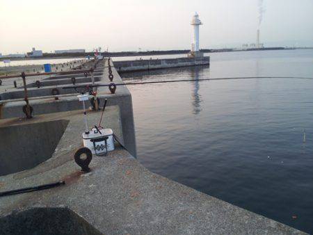 淀川河口 フカセでチヌ〜49cm6匹♪　チヌの数釣り楽しめます