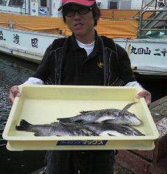 岸和田一文字　紀州釣りでチヌ〜38cm3枚