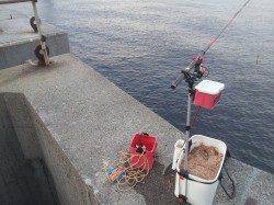 淀川河口でフカセ釣りの釣果