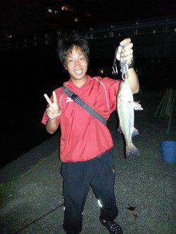和歌川河口　チニングでチヌ6匹＆シーバス5匹！満潮から約１時間チヌの入れ食い☆