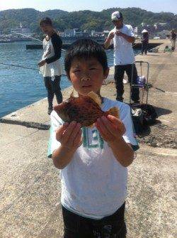 加太漁港大波止でイワシ好釣！ハゲやグレも！