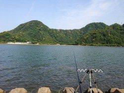 津居山港　ぶっこみ釣りでセイゴ狙いもヒラメ30cm！