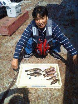 岸和田一文字　ウキ釣りでメバル〜25.4cm　他ガシラなど　シラサ使用