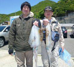 神谷 ヤエンでアオリイカ〜1.2kgの釣果