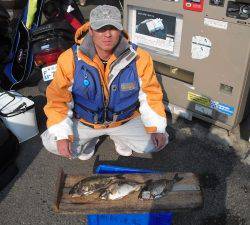 大磯 フカセ釣りでアイゴ〜30cm3匹