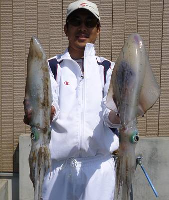 湯浅の磯 ウキ釣りでアオリイカ〜1.94kg