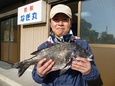 湯浅の磯 チヌフカセ釣りの釣果