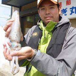 湯浅の磯、エギングでアオリの釣果もあります！！