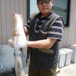 ヤエンでアオリ2kg UP ↑ ウキ釣りで60cmのマゴチが釣れました！