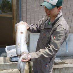湯浅の磯　ウキ釣りでアオリイカ2.96kgの大型