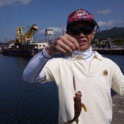 和田海水浴場の波止から投げ釣りでキスなどの釣果