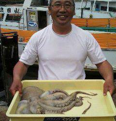 岸和田一文字　大型タコ2.4kgの釣果