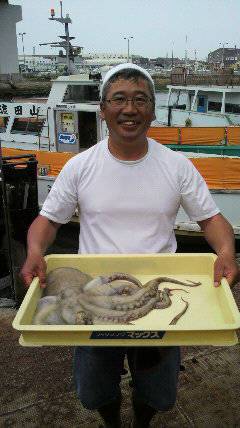 岸和田一文字　大型タコ2.4kgの釣果