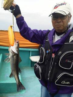 岸和田一文字　ウキ釣りでハネ〜68cmの釣果