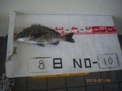 探り釣りでチヌ♪姫路市立遊漁センター