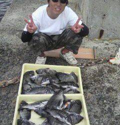 紀州釣りでチヌの数釣り♪ 24匹釣れました！