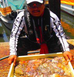 岸和田旧一文字で2.4kgのタコ！！数釣りも楽しめます♪