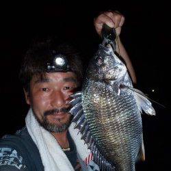 大阪南港でチニング、釣果も激熱！