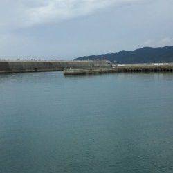 濱ノ瀬漁港　16:00～17:30のエギングでアオリの新子　サイズはこれからに期待