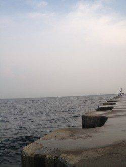南芦屋浜サビキでの釣果、風が強く、波が荒かった