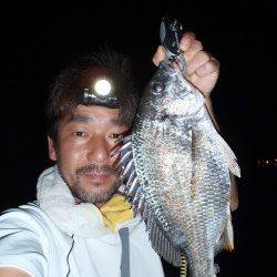 大阪南港でチニング　チヌ11枚と快釣！