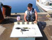 黒島の磯　グレ・アイゴの釣果